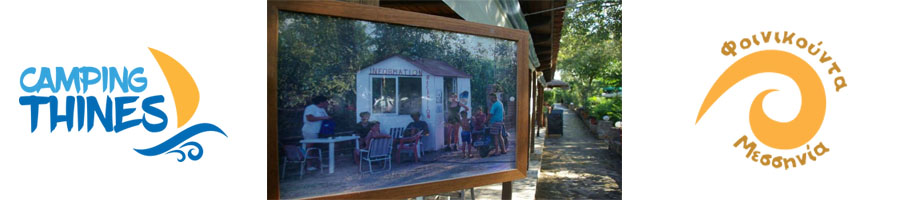 Camping-Thines-Logo1