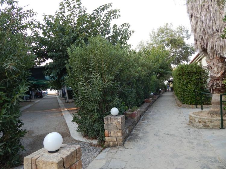 Camping Thines 56