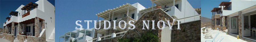 Niovi-Studio Banner