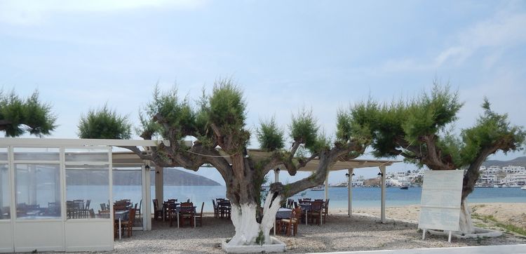 Stamatis-Serifos 38