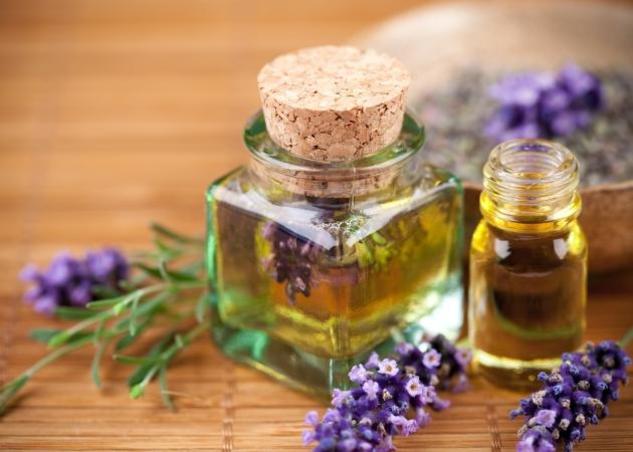 Piperoriza Ελαία