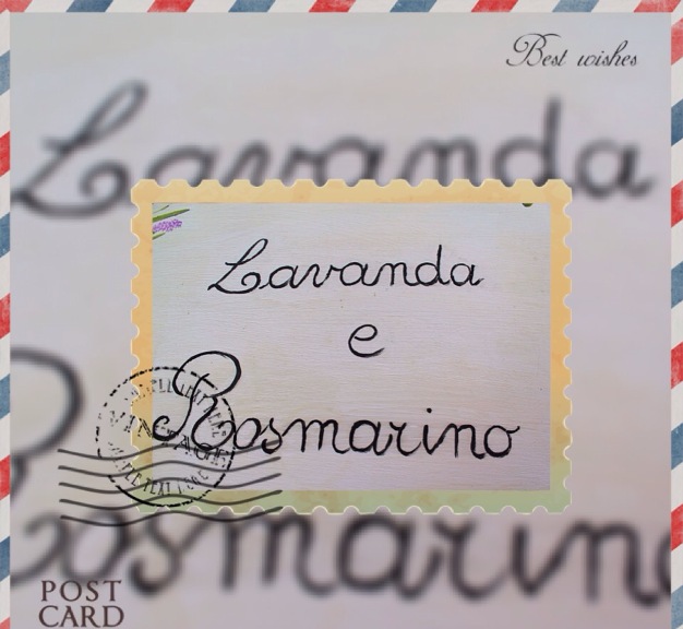 lavanda e rosmarino-07