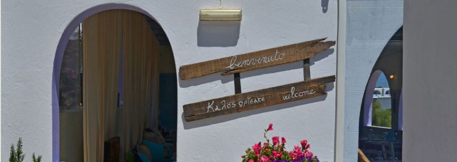 lavanda e rosmarino-16