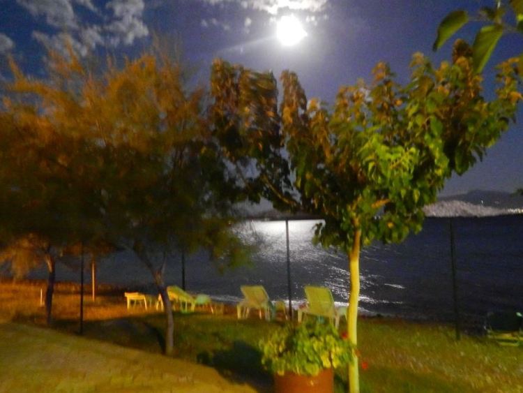 Bella Vista-14