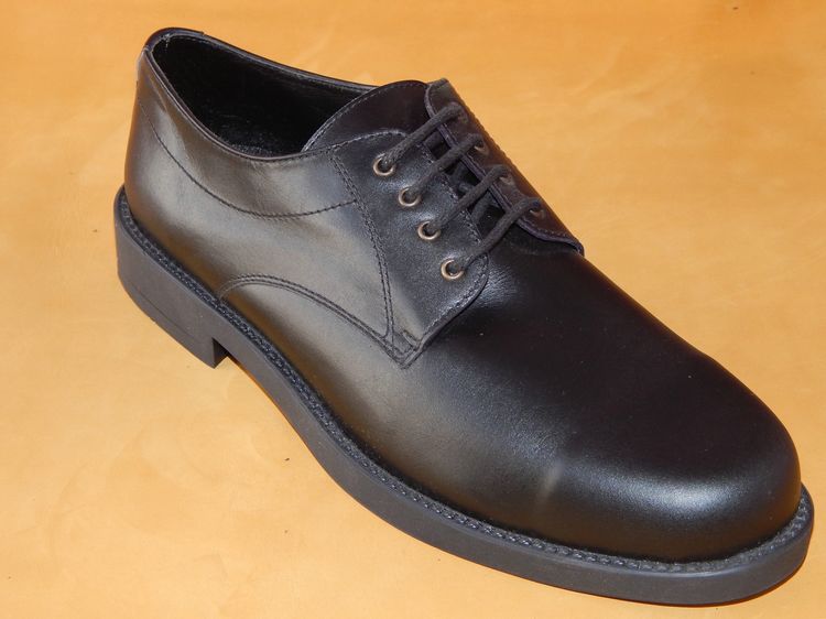 Anastasia Shoes 085