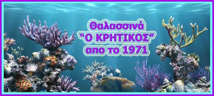 Kritikos 