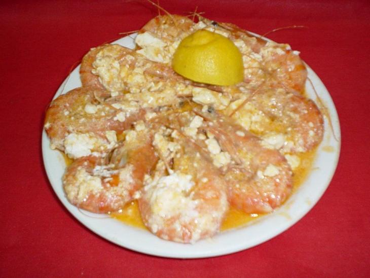 Kritikos 3