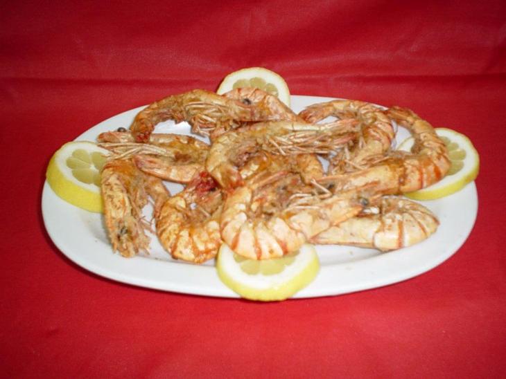 Kritikos 4