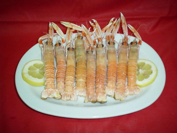 Kritikos 5