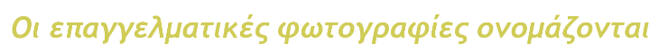 logo3 1