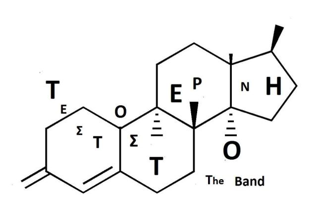 Τεστοστερόνη (The Band)