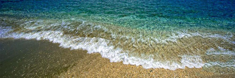 Andros-paralies
