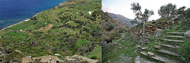 Andros monopatia-banner-1