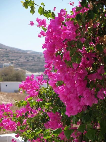 Donousa Kyklades-46