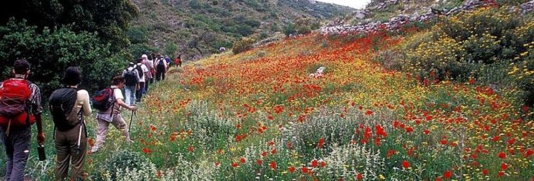 Peripatitikos tourismos Kythnos