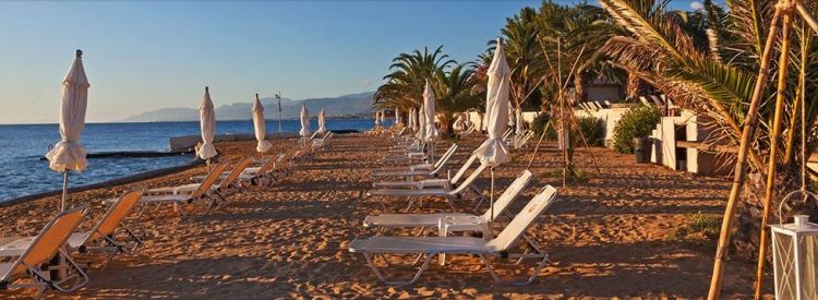 Dream Holiday1