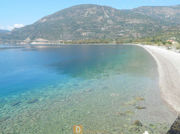 Sergoula Fokida004