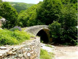 Pezoporia 4