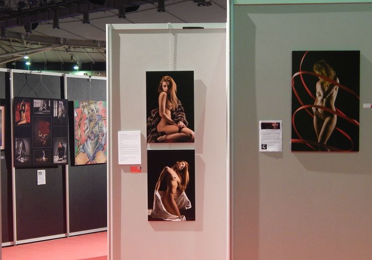 Erotic Art 2014 15