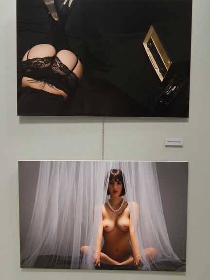 Erotic Art 2014 28