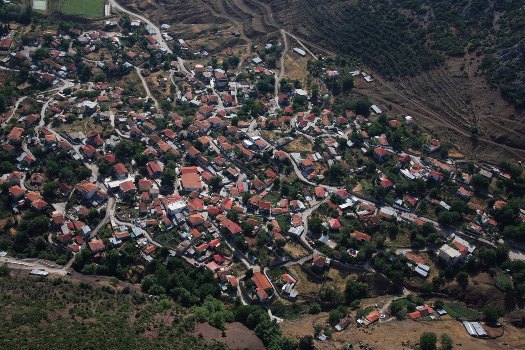 Anavra1