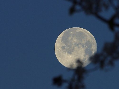 Winter-moon