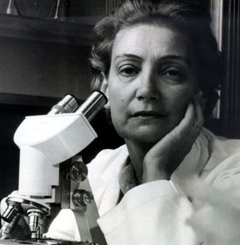 Amalia Koutsouri Fleming