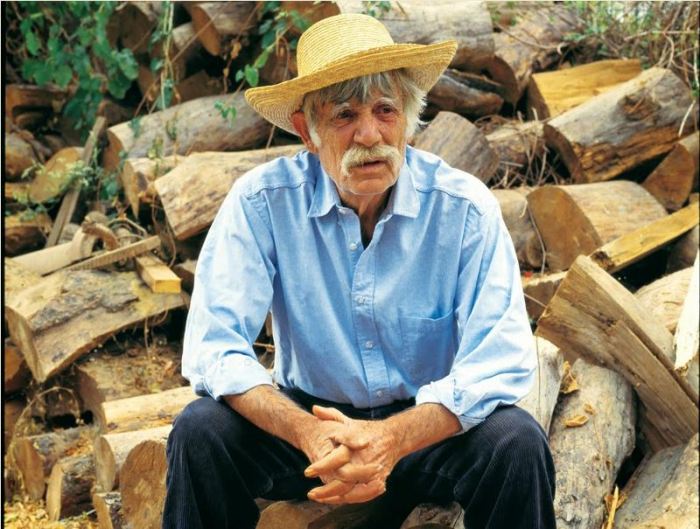 Αλέξης Δαμιανός, ήταν ηθοποιός, συγγραφέας, σκηνοθέτης, σύμφωνα με πολλούς η πλέον εμβληματική μορφή του ελληνικού κινηματογράφου