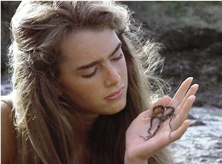 Brooke Shields 6
