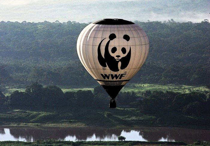 world-wildlife