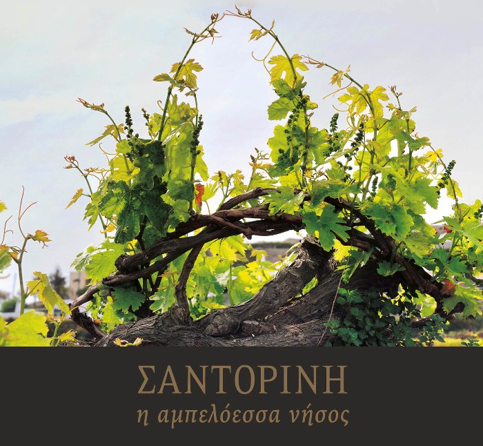 Δευτέρα 3 Νοεμβρίου 2014, η Ένωση Συνεταιρισμών Θηραϊκών Προϊόντων και οι εκδόσεις Τοπίο art books, παρουσιάζουν το βιβλίο “ΣΑΝΤΟΡΙΝΗ, η αμπελόεσσα νήσος”, σε φωτογραφίες Δημήτρη Ταλιάνη και κείμενα Πάνου Θεοδωρίδη, στο Μέγαρο Μουσικής Αθηνών
