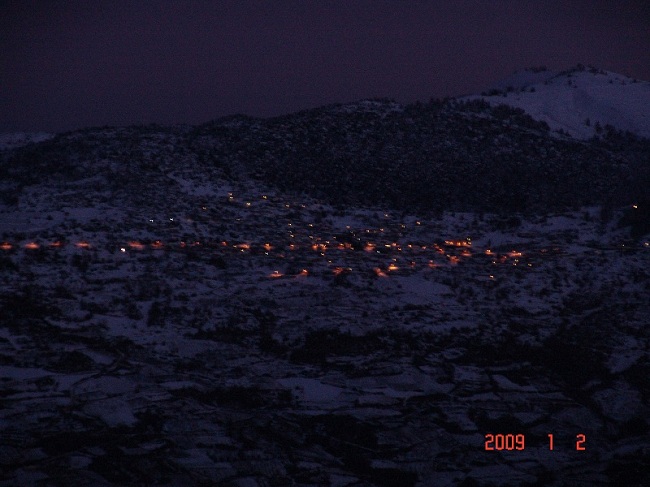 DSC00771