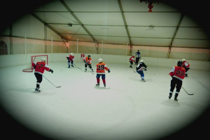 hockey2