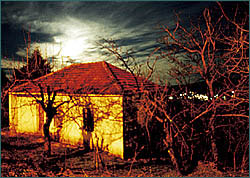 photo 05 trikalanight